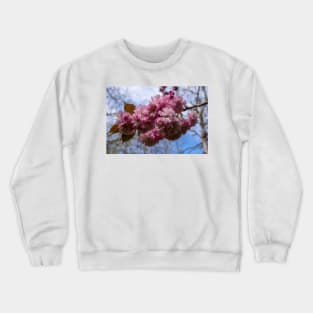 Spring blossom. Crewneck Sweatshirt